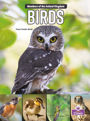 cover image of Birds